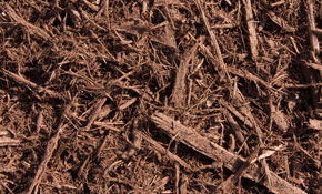 BFP's Chocolate Brown Mulch