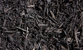 Midnight Black Mulch