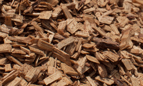 Playground Chips