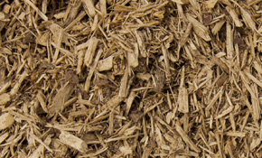 ADA Playground Material