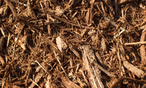 Shredded Mulch