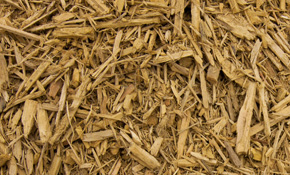 Sunset Gold Mulch